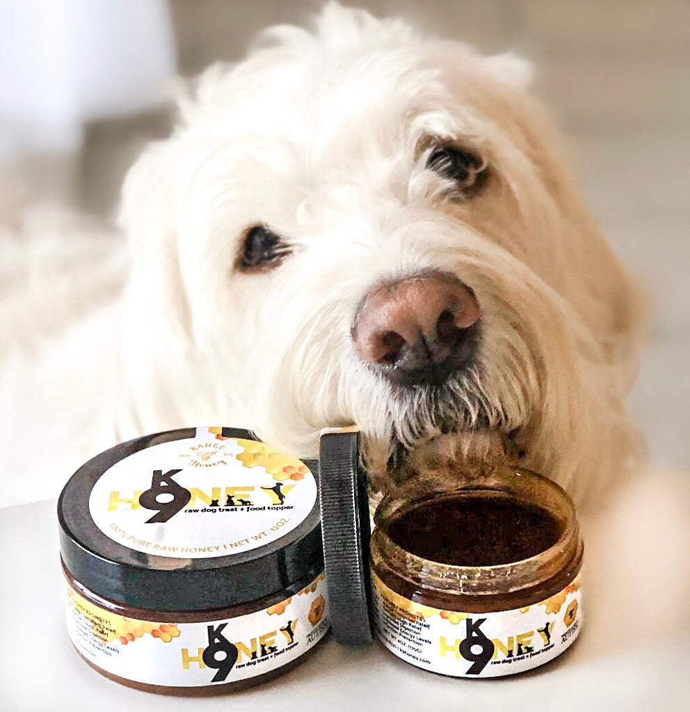 A white great pyrenees dog stands near two containers of K9 Honey. 